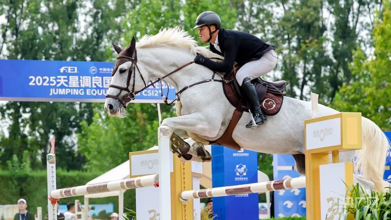 itc, 艺术展示于